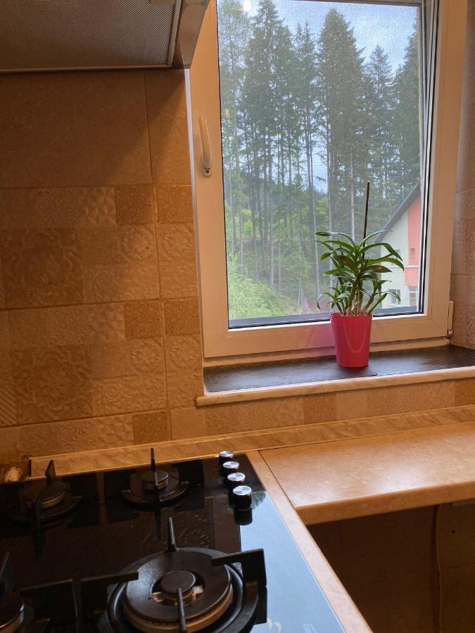 Oli's Mountain Apartment