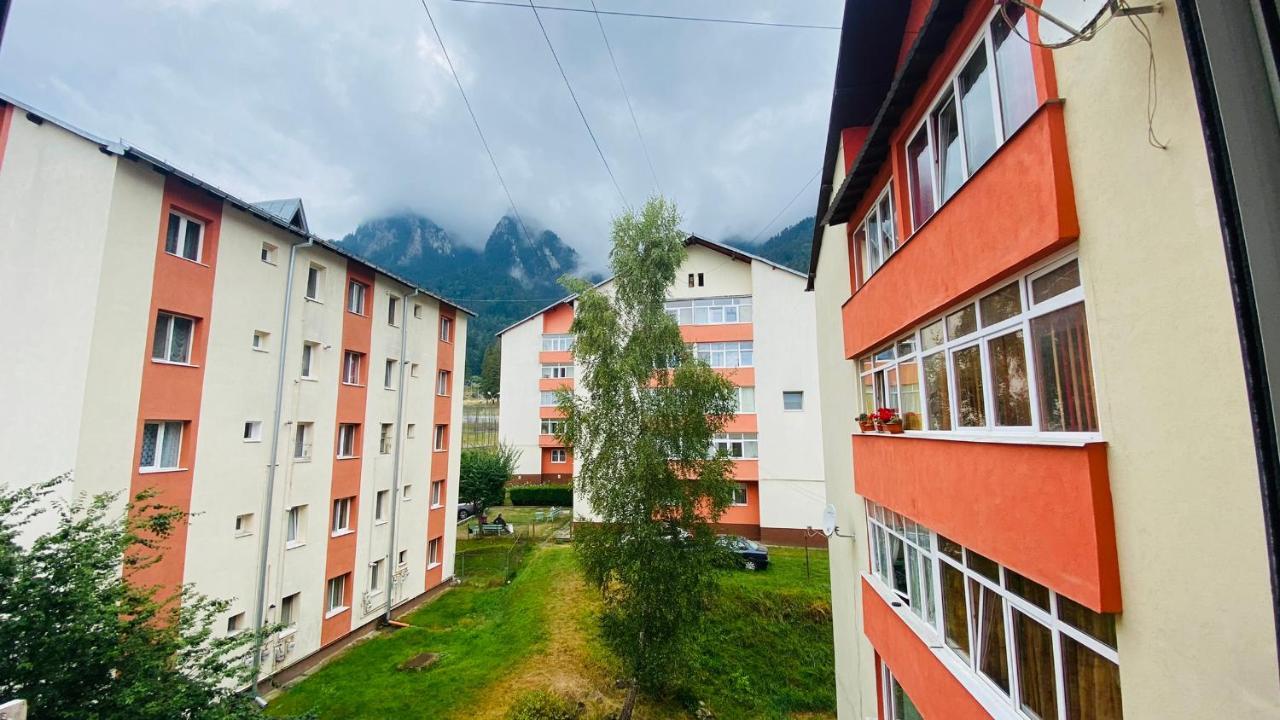 Oli's Mountain Apartment *