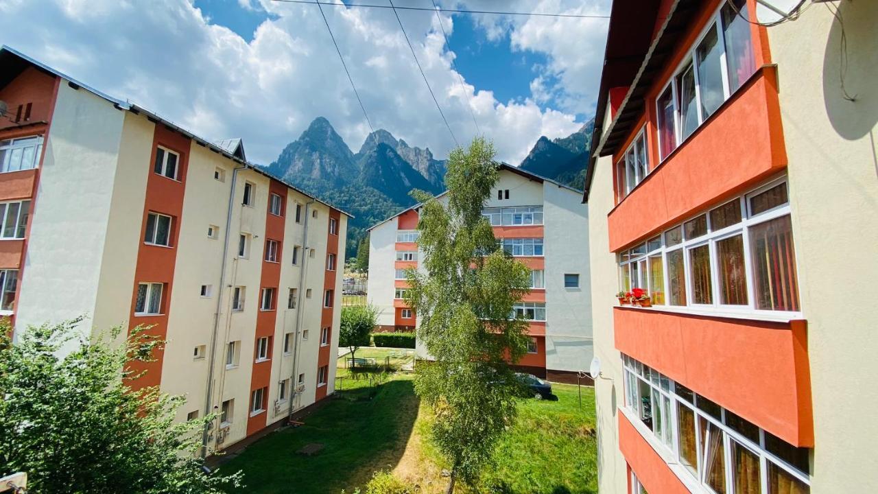 Oli's Mountain Apartment *