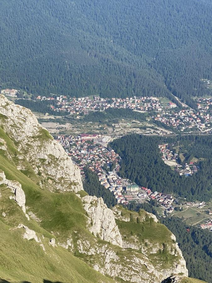 Oli's Mountain Busteni