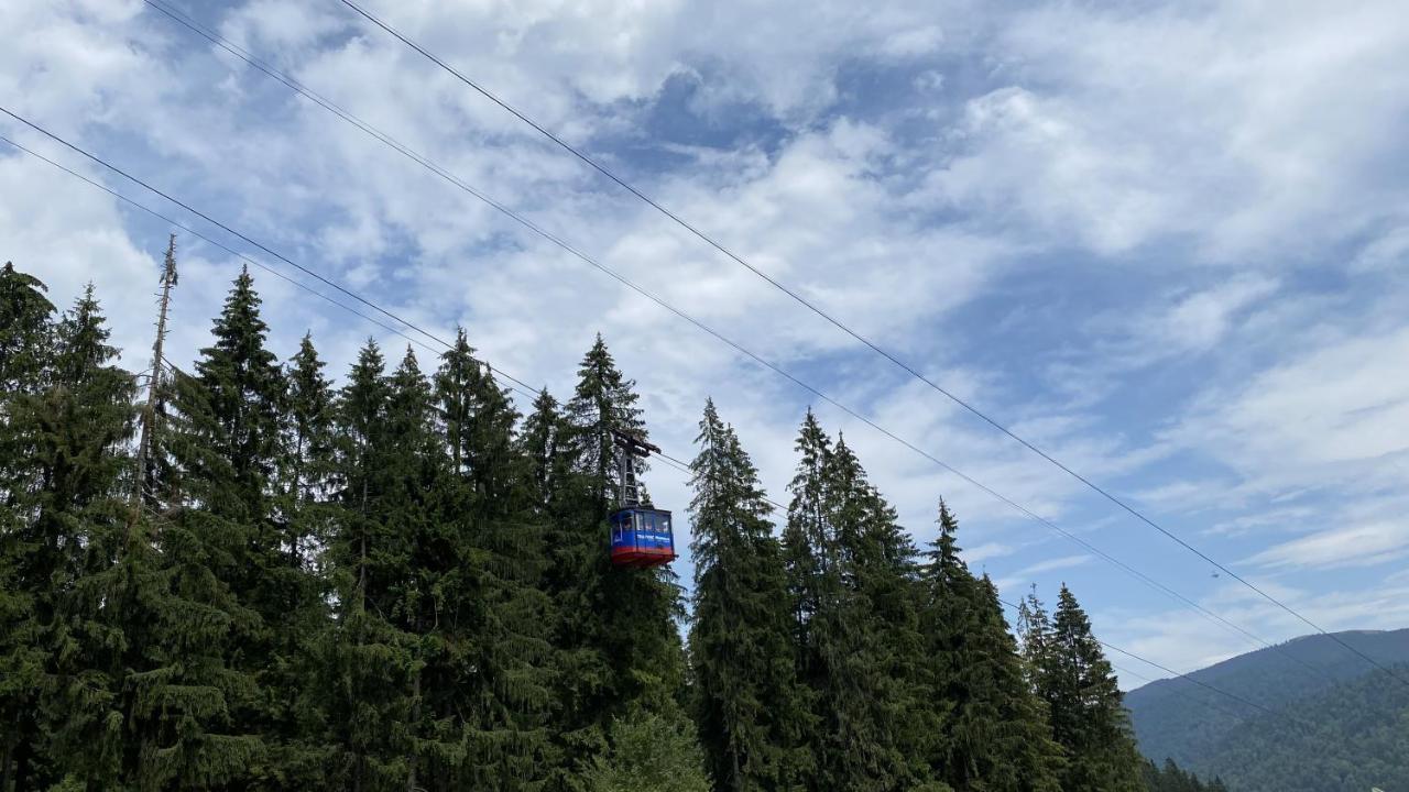 Oli's Mountain Apartment