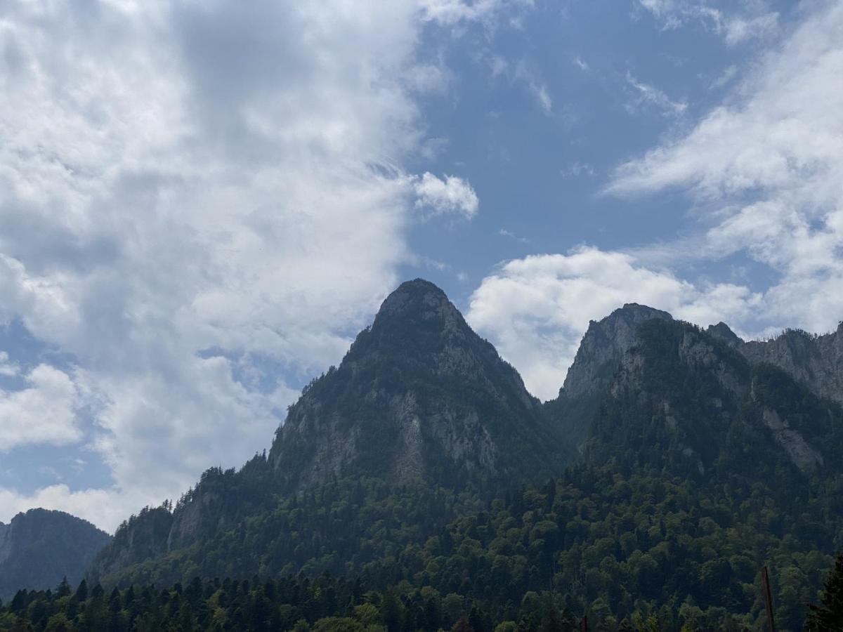 Oli's Mountain Busteni